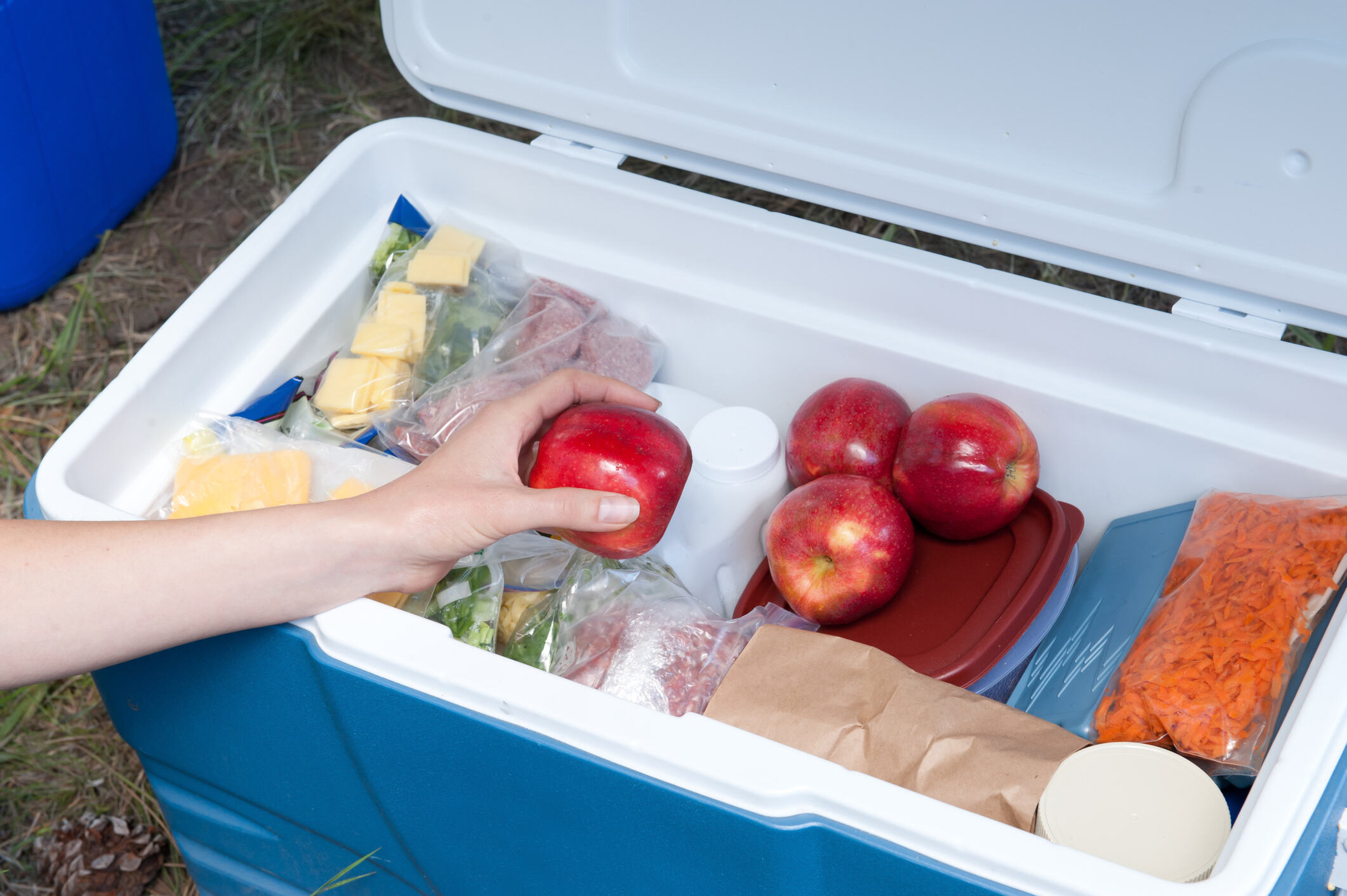 How To Keep Foods Cold At An Outdoor Picnic