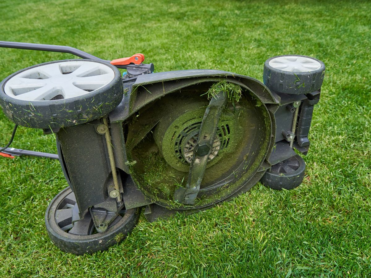 How To Keep Grass From Sticking To Your Mower Deck