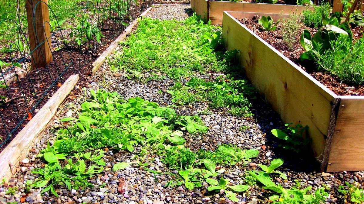 How To Keep Grass Out Of The Vegetable Garden