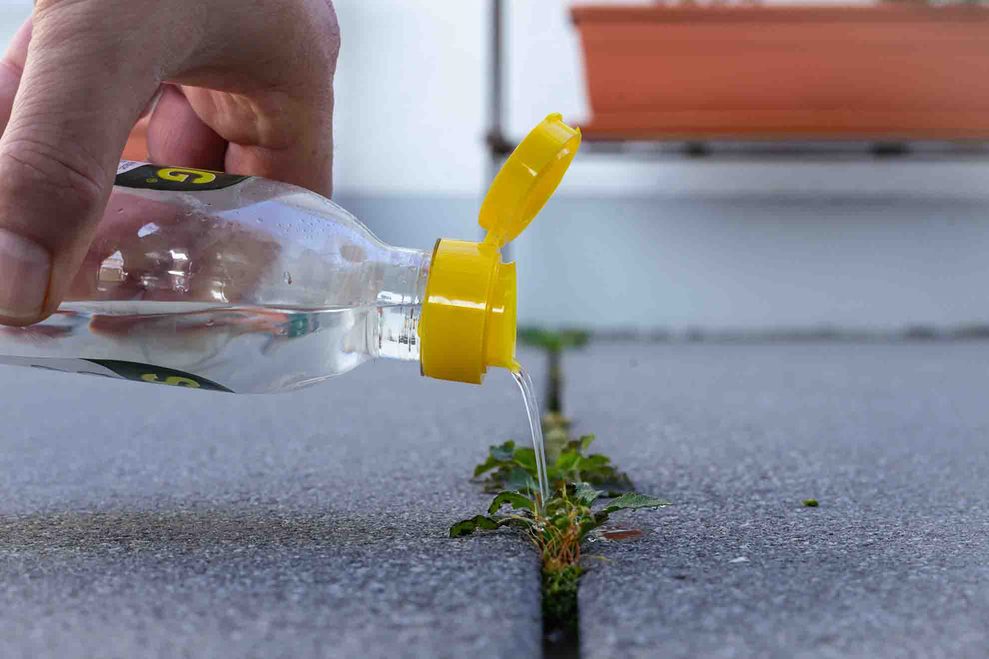 How To Kill Weeds And Grass With Vinegar