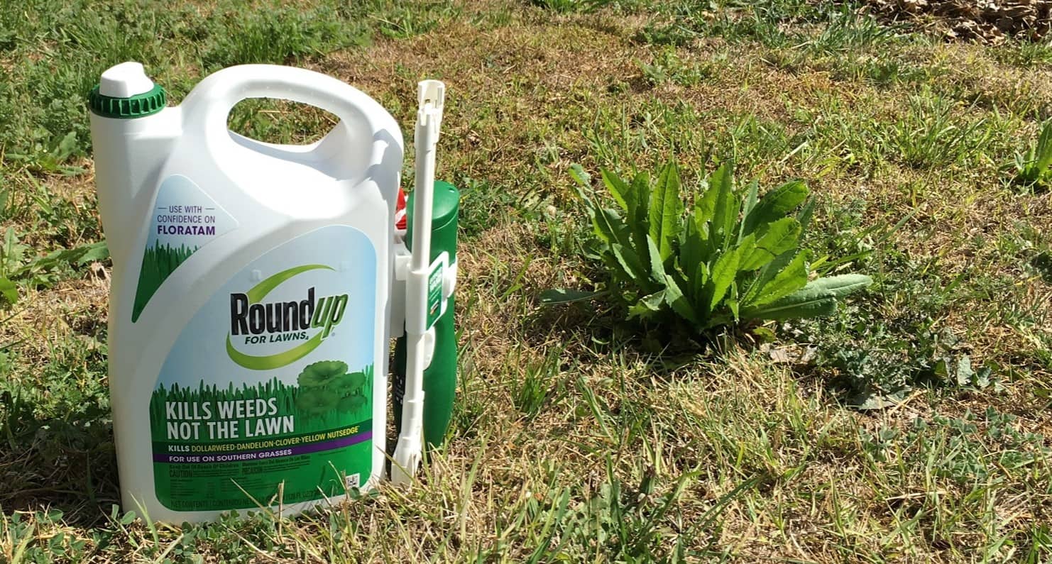 How To Kill Weeds, Not Grass