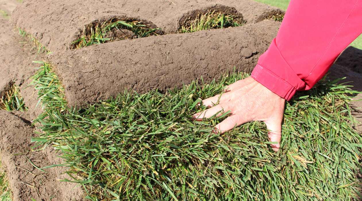 How To Lay Grass Sod In Kansas City