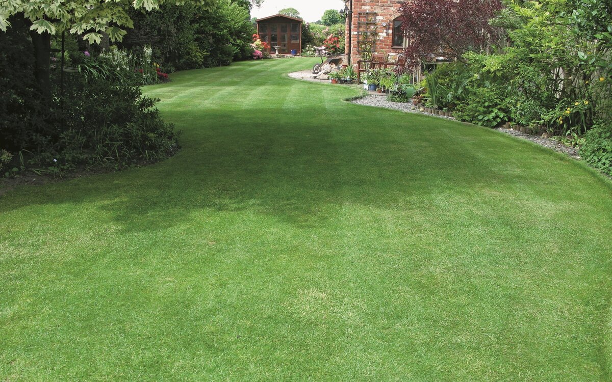 How To Level A Yard With Grass