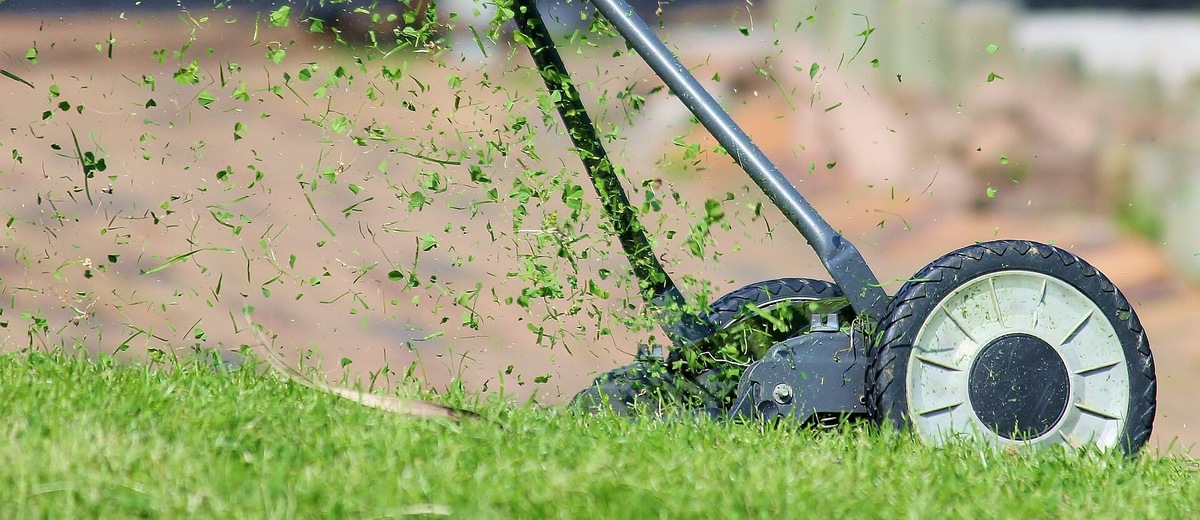 How To Maintain Sod Grass