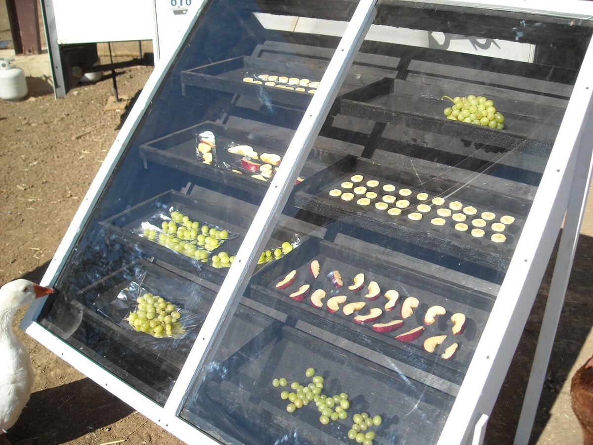 DIY Solar Food Dehydrator: A Step-by-Step Guide to Building Your Own