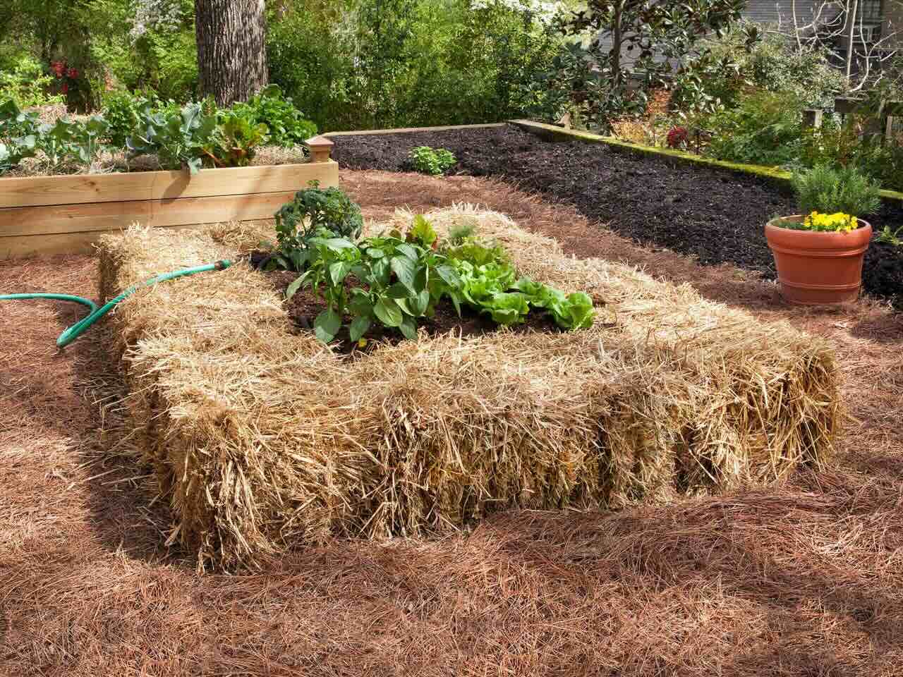 How To Make A Raised Garden Bed Cheap