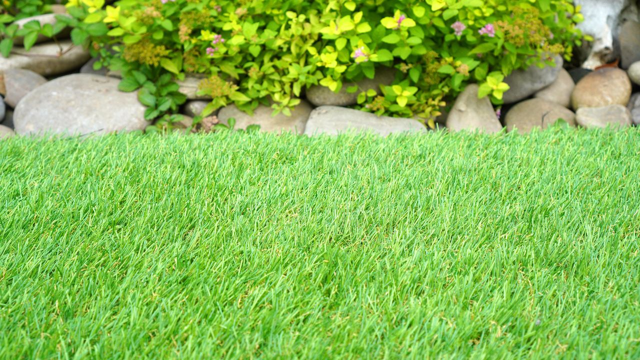 How To Make Artificial Grass Look Real