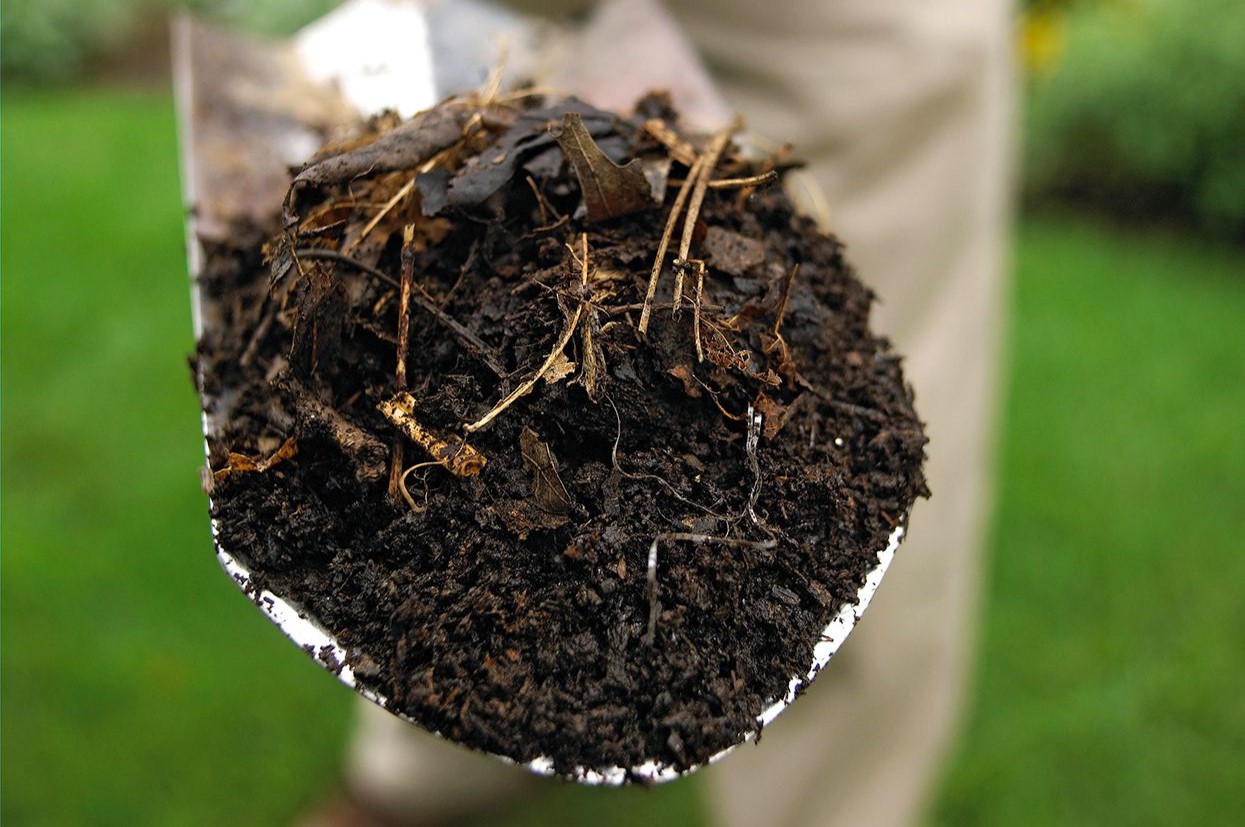 How To Make Compost From Grass Clippings