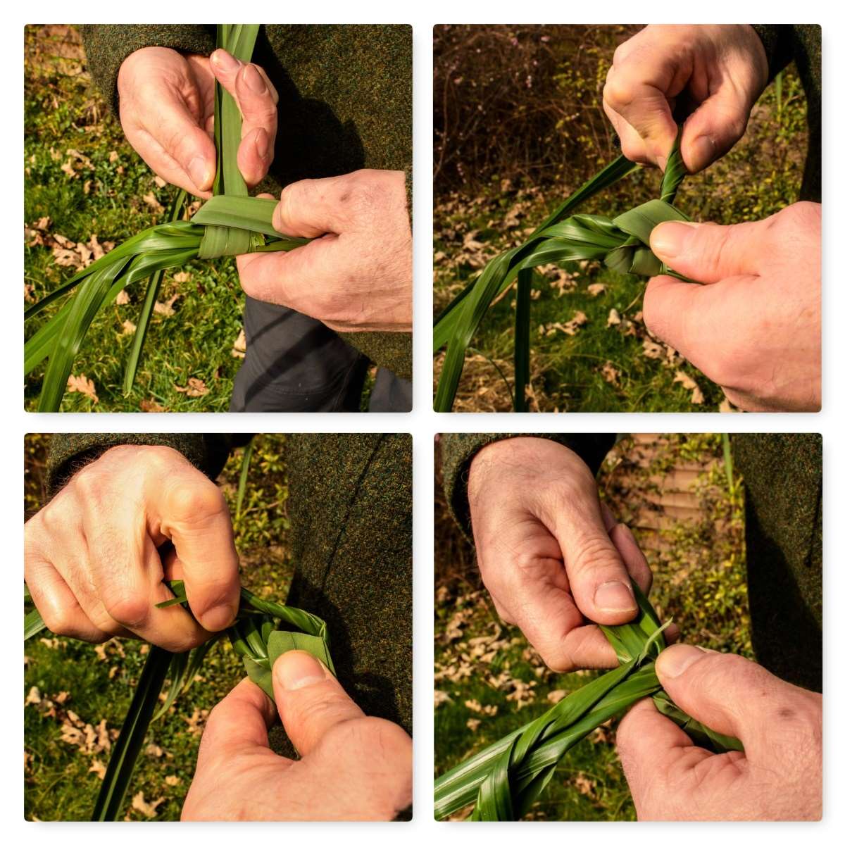 How To Make Cordage From Grass