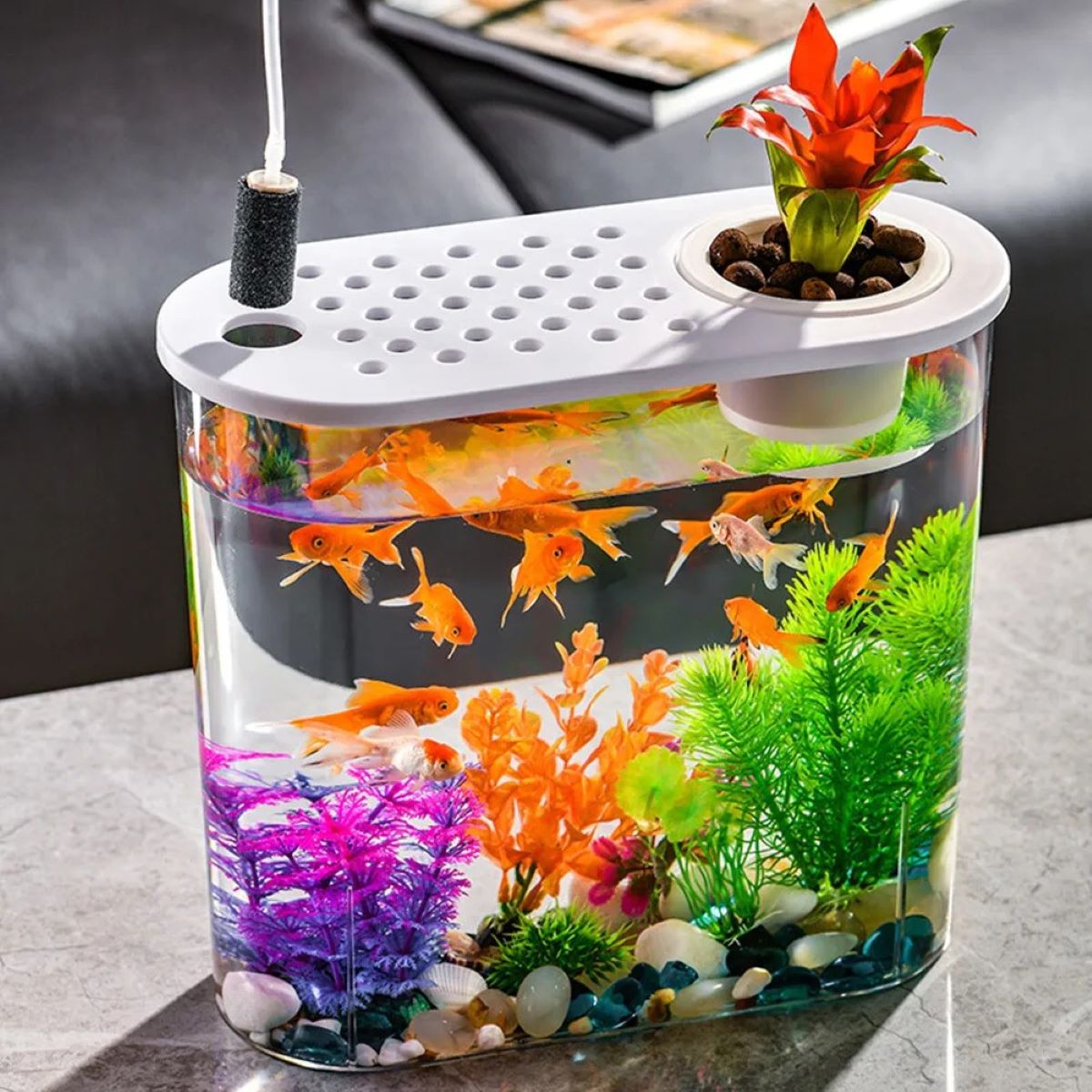 How To Make Fish Tank At Home Without Glass