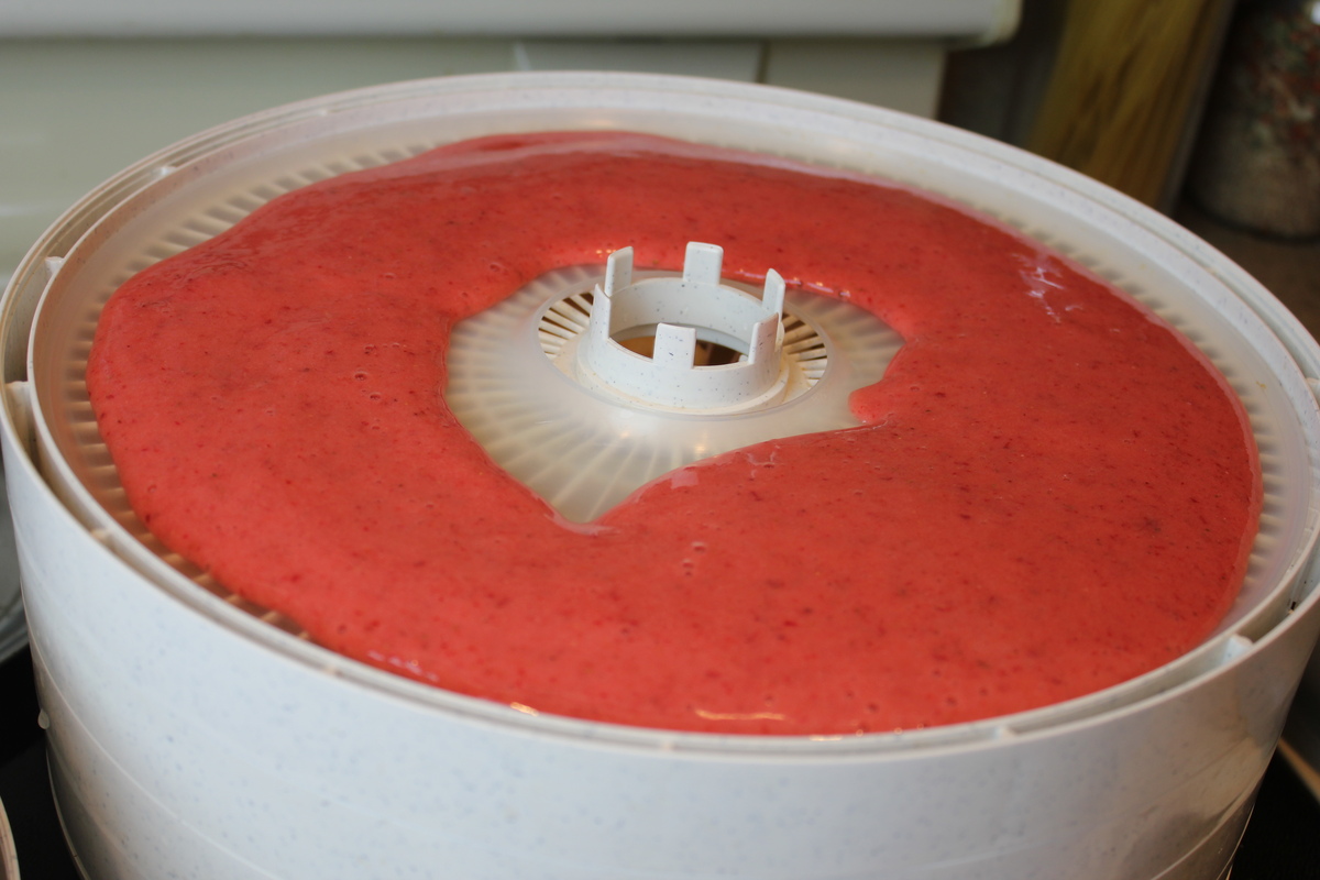 How To Make Fruit Roll-Ups In A Food Dehydrator