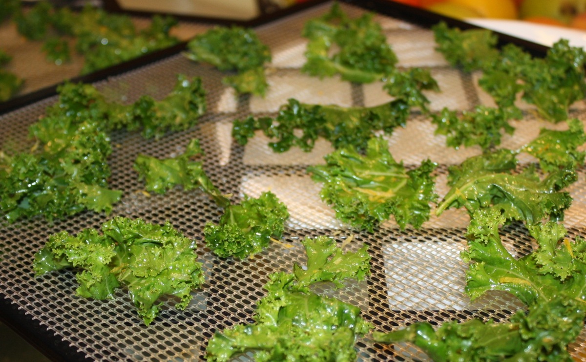 How To Make Kale Chips In A Dehydrator