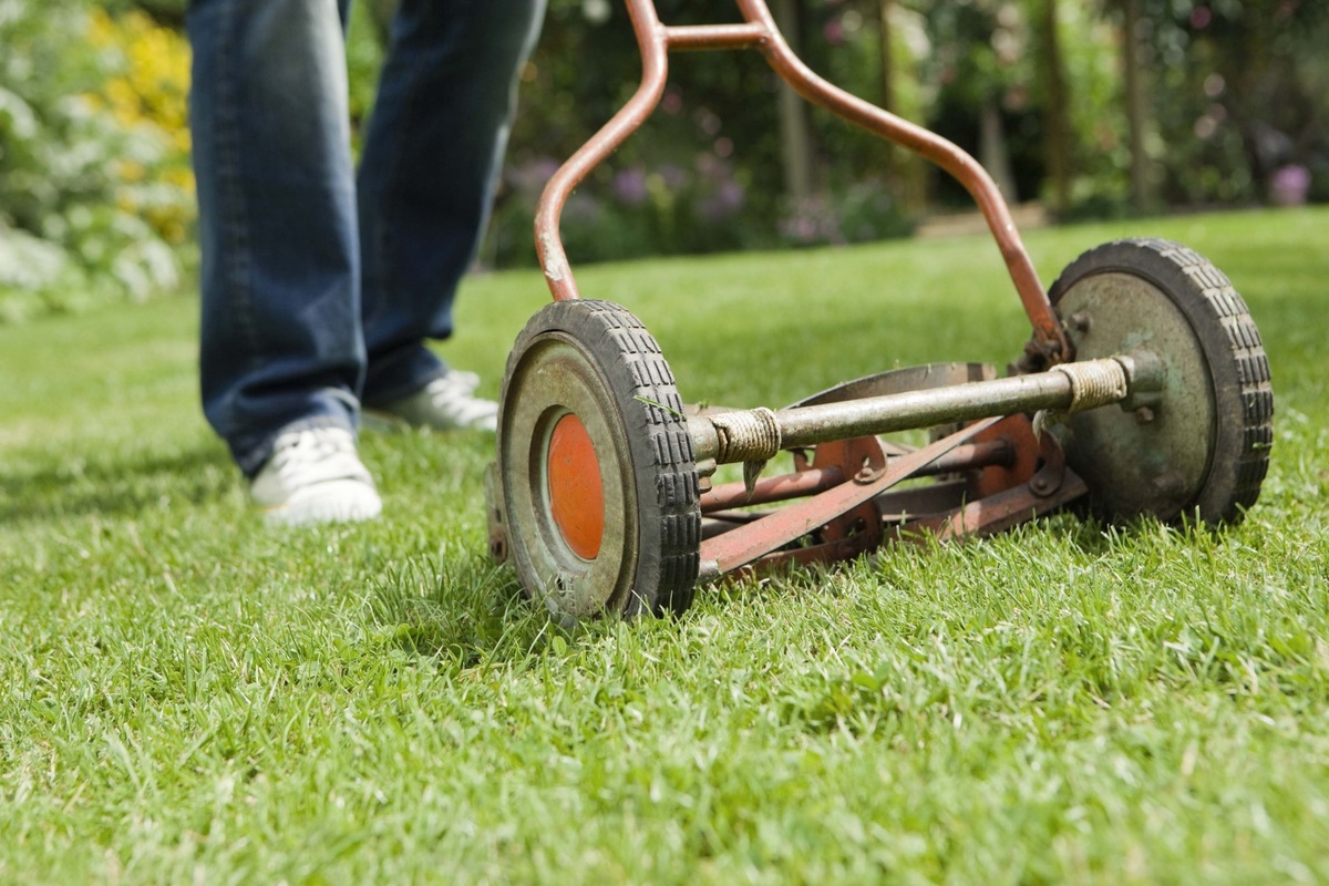How To Make Lines In Grass With Push Mower