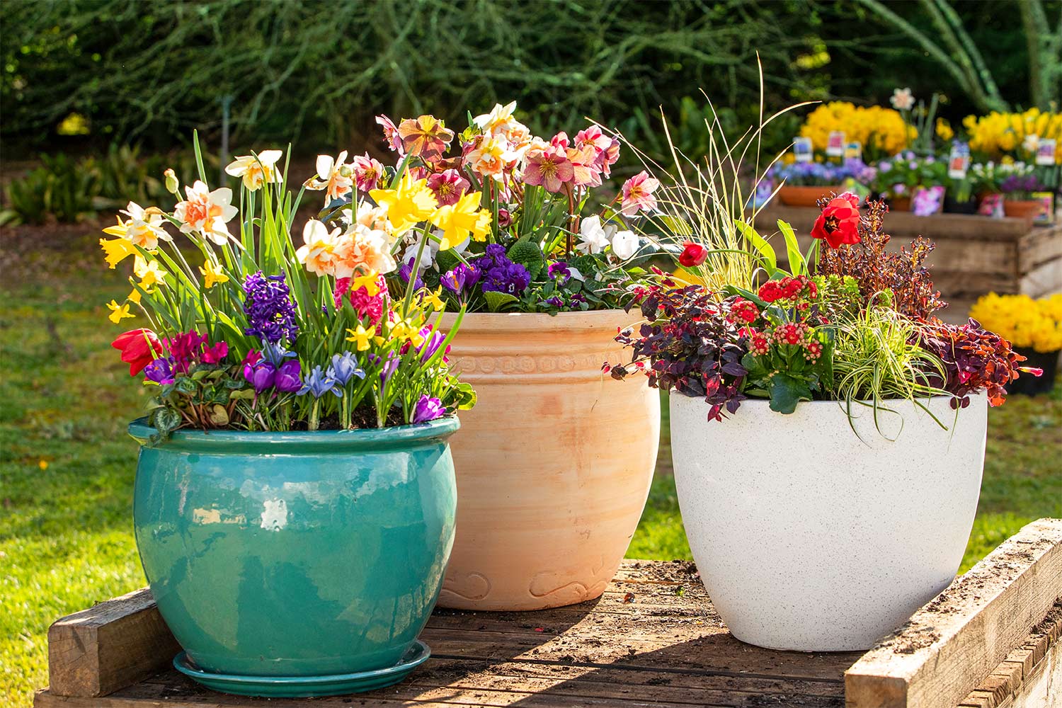 How To Make Outdoor Flower Pot Arrangements