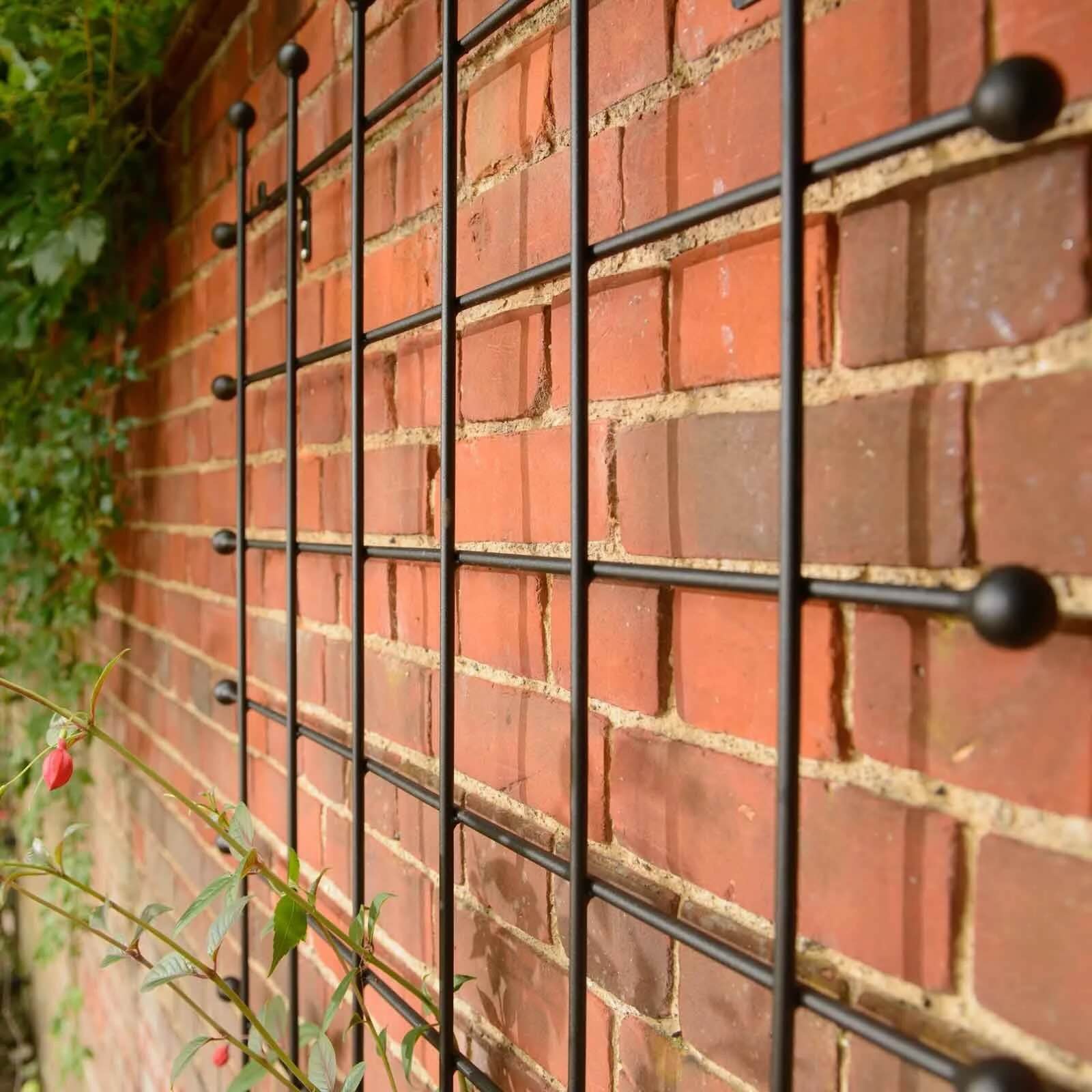 How To Mount A Trellis On A Brick Wall