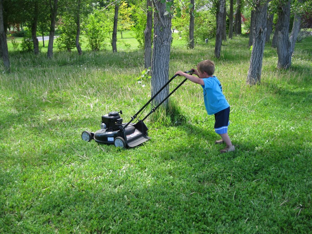 How To Mow Really Tall Grass