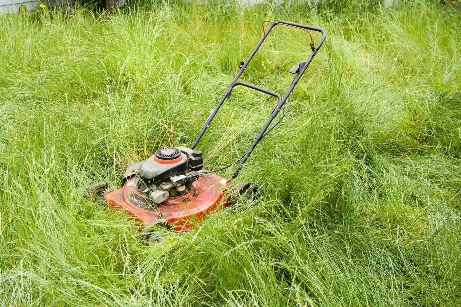 How To Mow Very Tall Grass