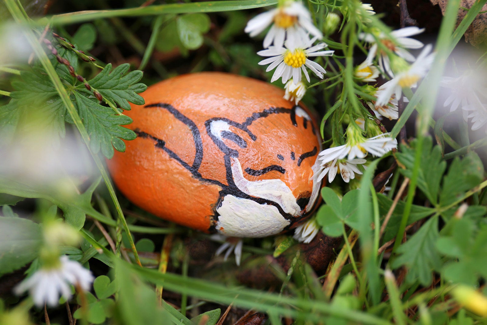 How To Paint Outdoor Rocks Storables