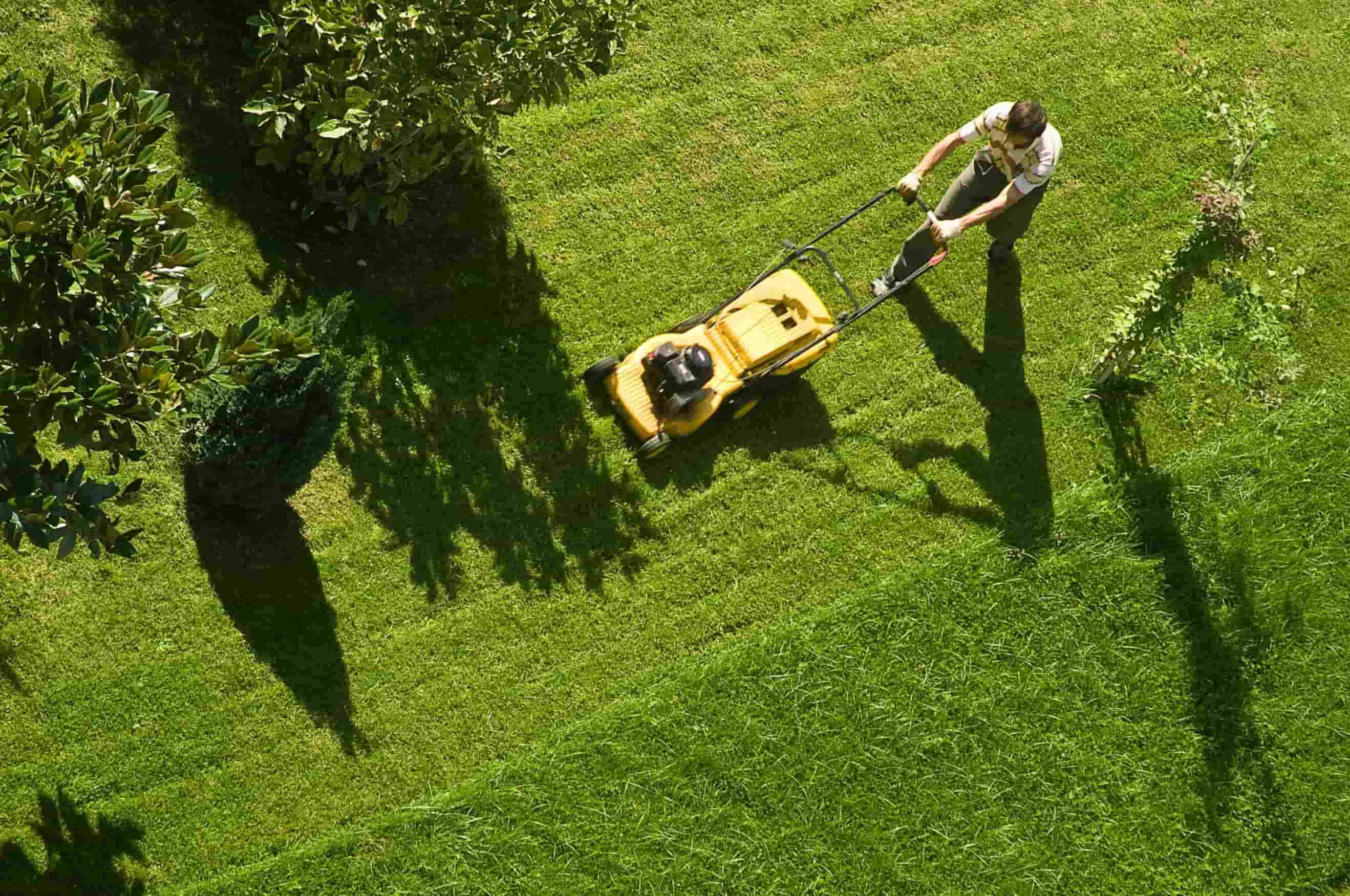 How To Pick Up Grass After Mowing