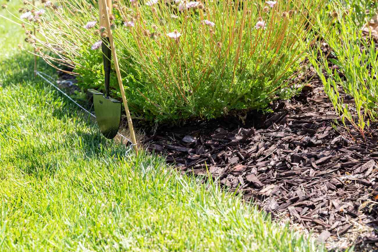 How To Plant Cutting Edge Grass Seed