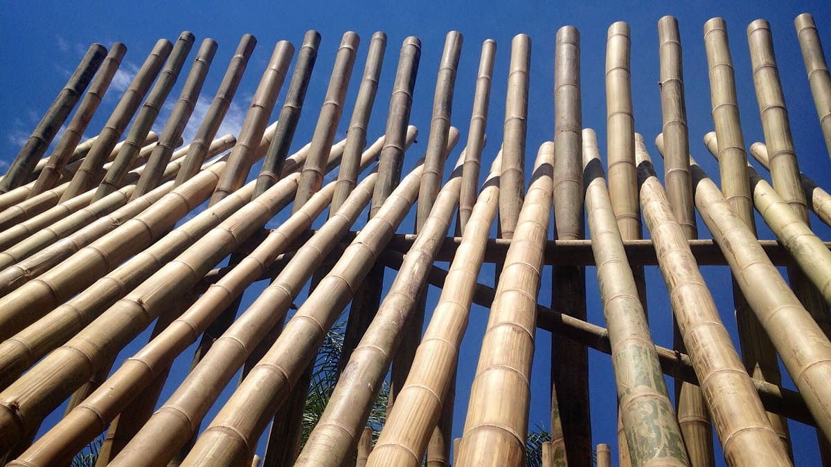 How To Preserve Bamboo For Outdoor Use
