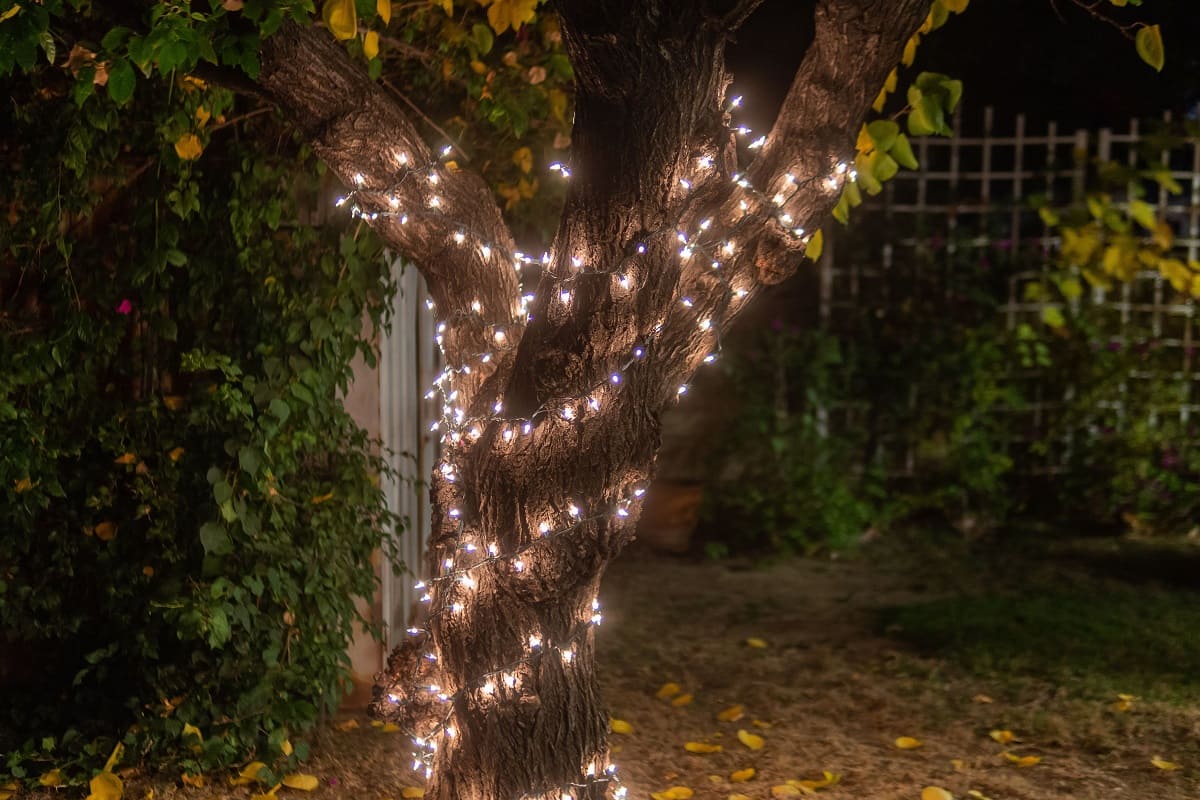 How To Put Christmas Lights On An Outdoor Tree