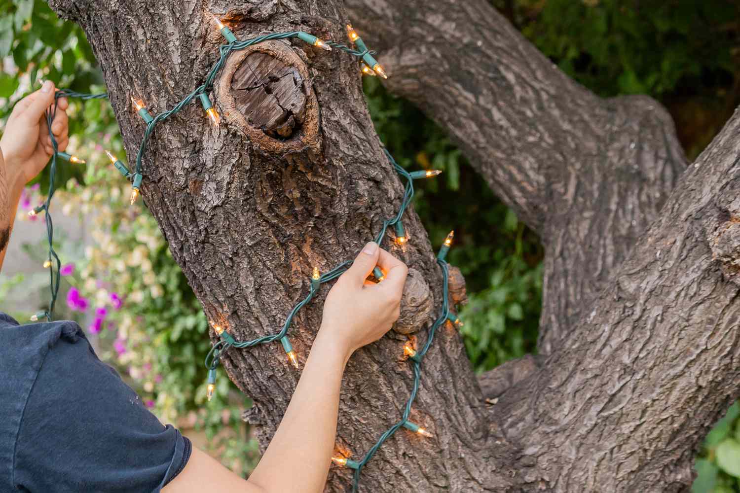How To Put Christmas Lights On Outdoor Tree Branches
