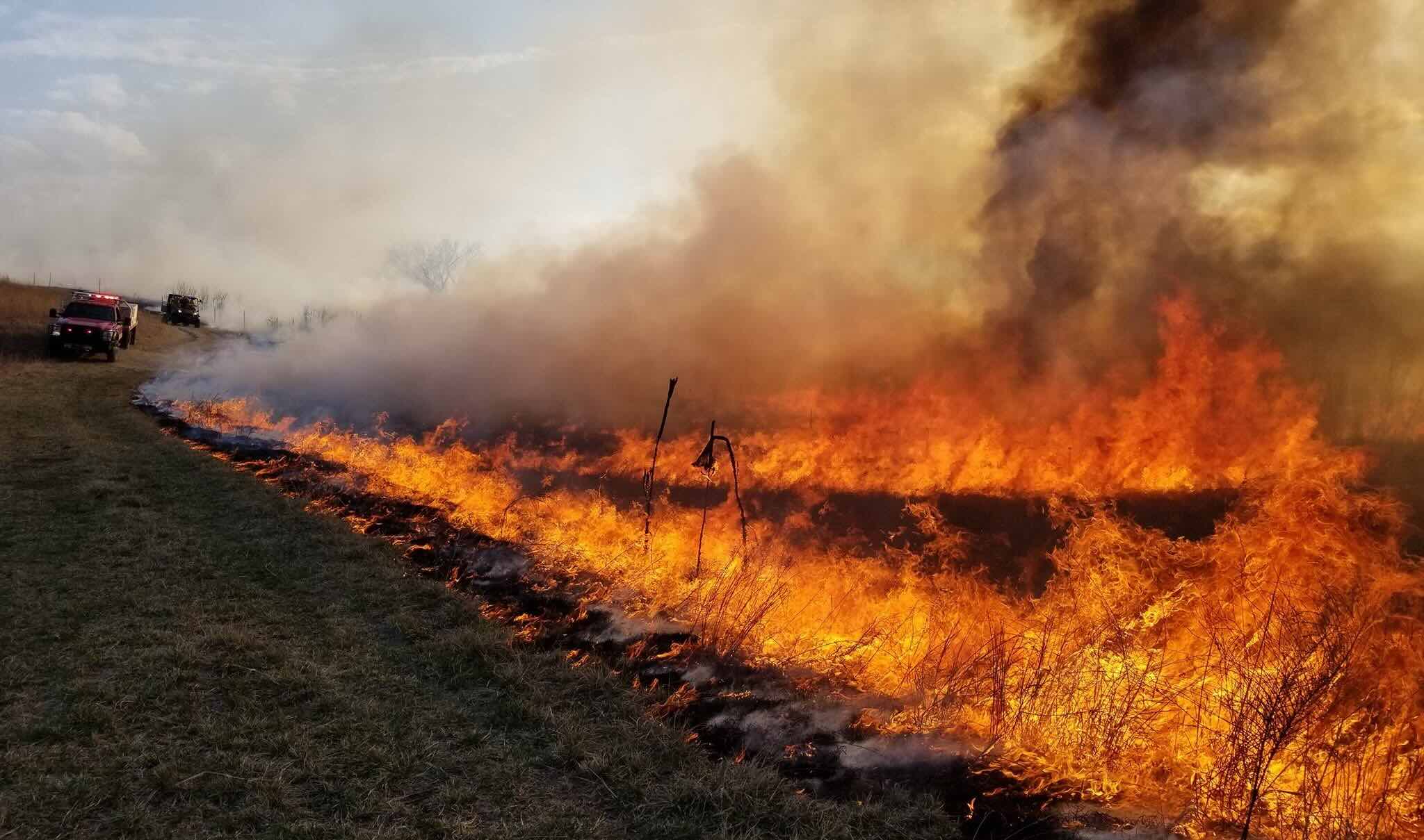 How To Put Out A Grass Fire