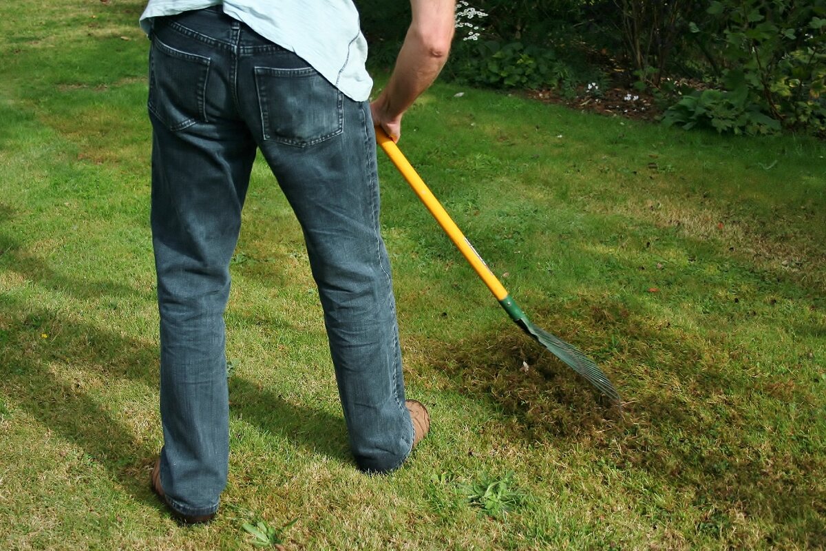 How To Recover A Grass Lawn