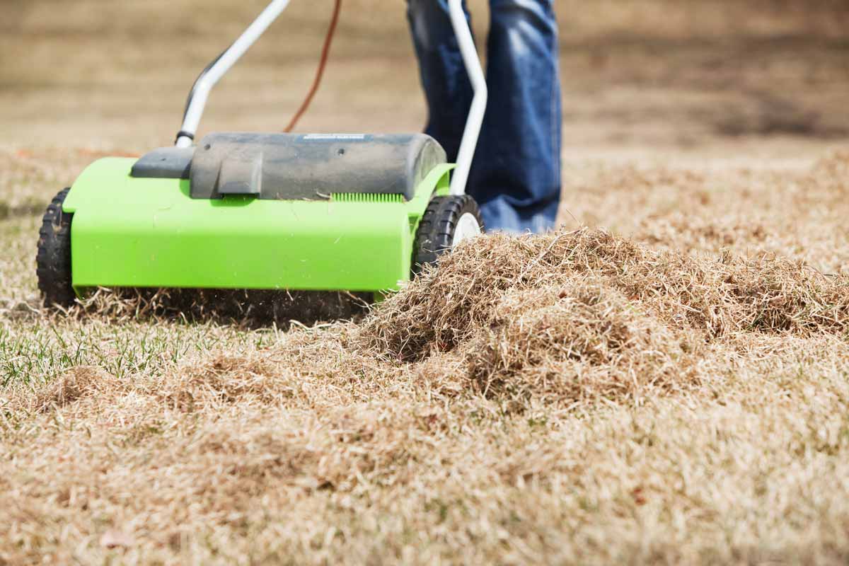 How To Remove Dead Grass From Yard