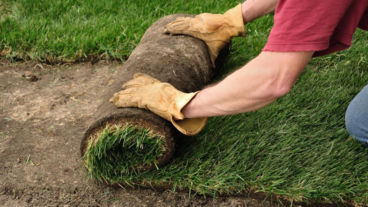 How To Remove Grass Before Laying Sod