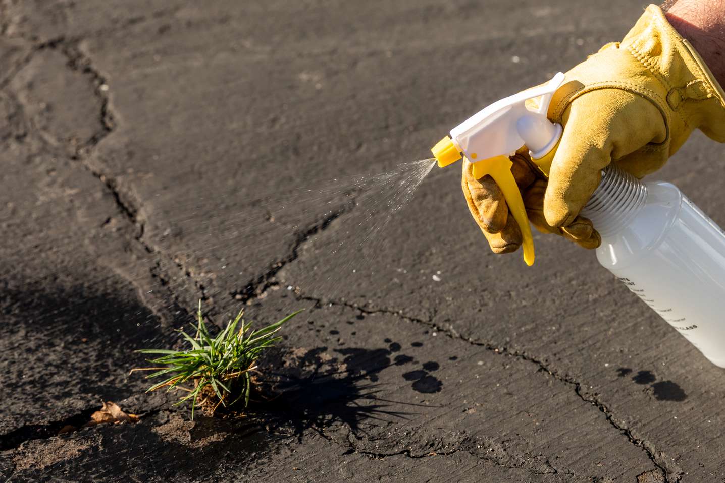 How To Remove Grass From Driveway Cracks
