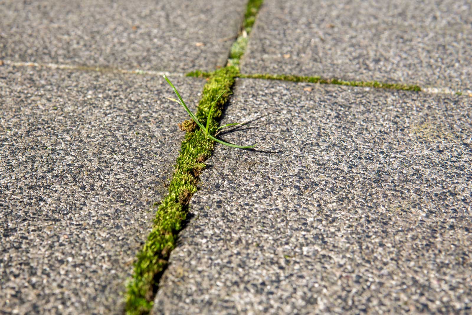 How To Remove Grass From The Sidewalk