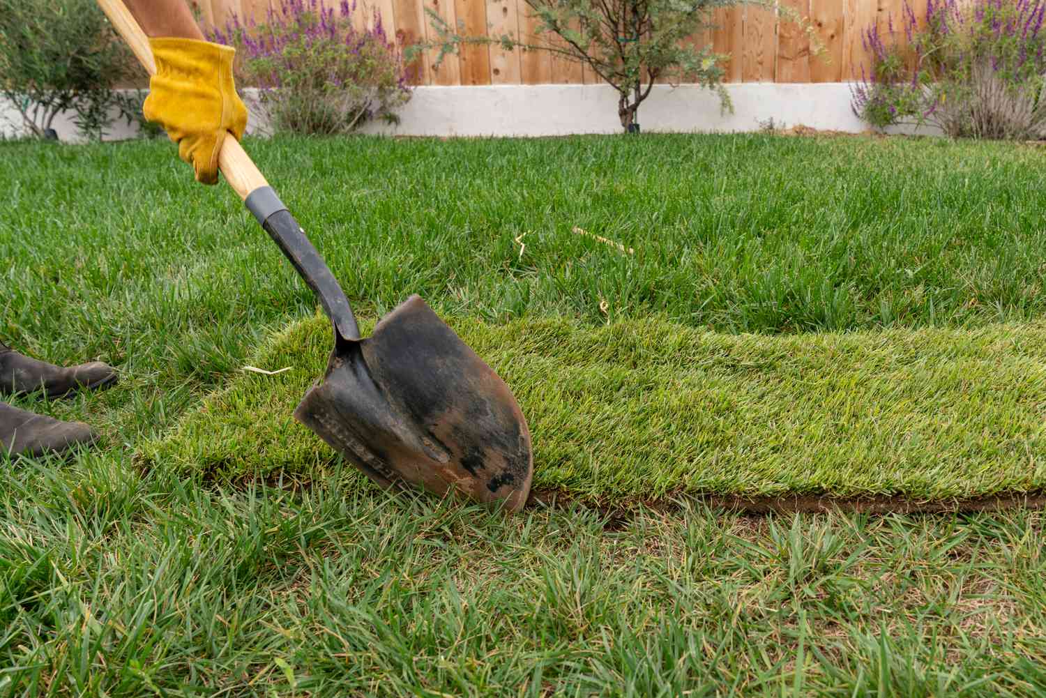How To Repair Grass Lawn