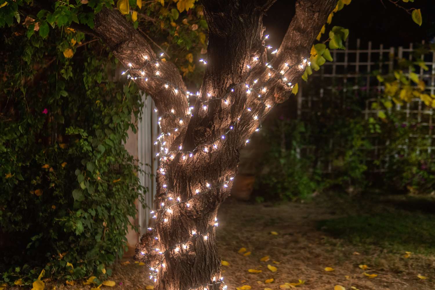 How To Run Christmas Lights Without Outdoor Outlet