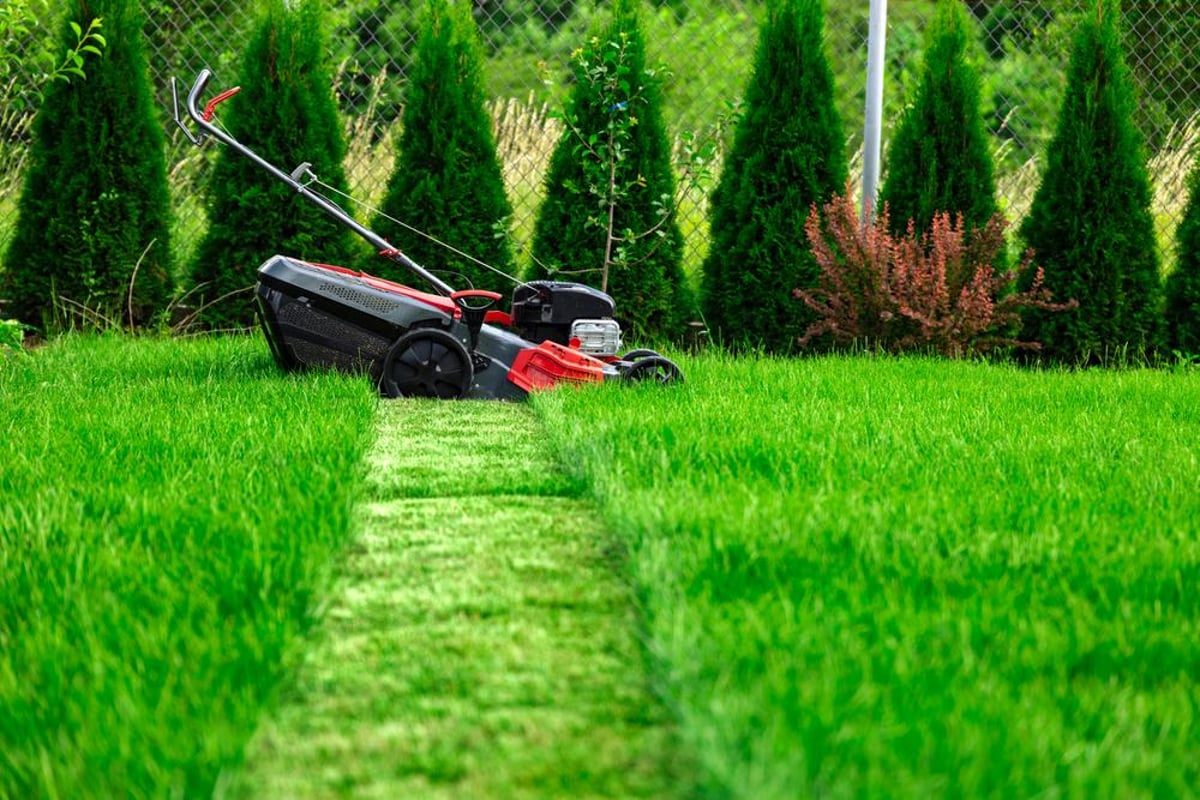 How To Say “Cut The Grass” In Spanish