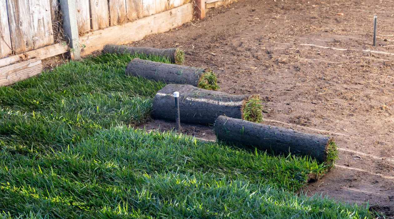 How To Sod A Yard With Existing Grass