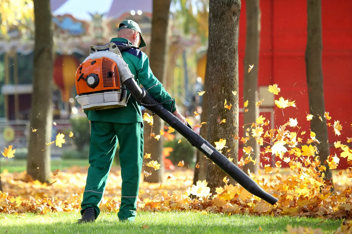 How To Start A Gas Leaf Blower