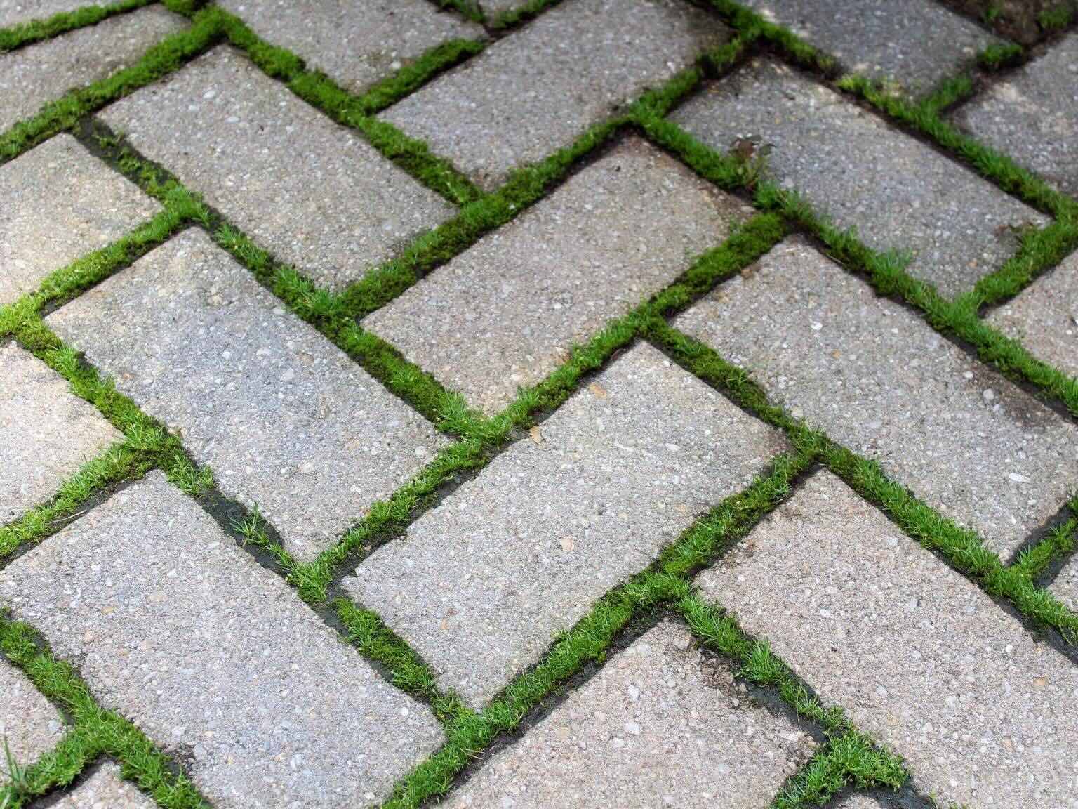How To Stop Grass From Growing Between Pavers
