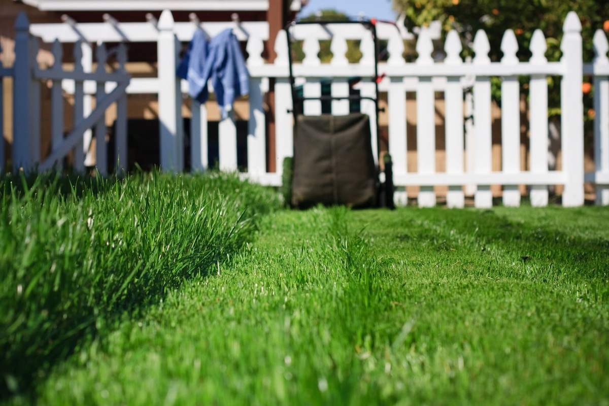 How To Take Care Of Grass In Spring