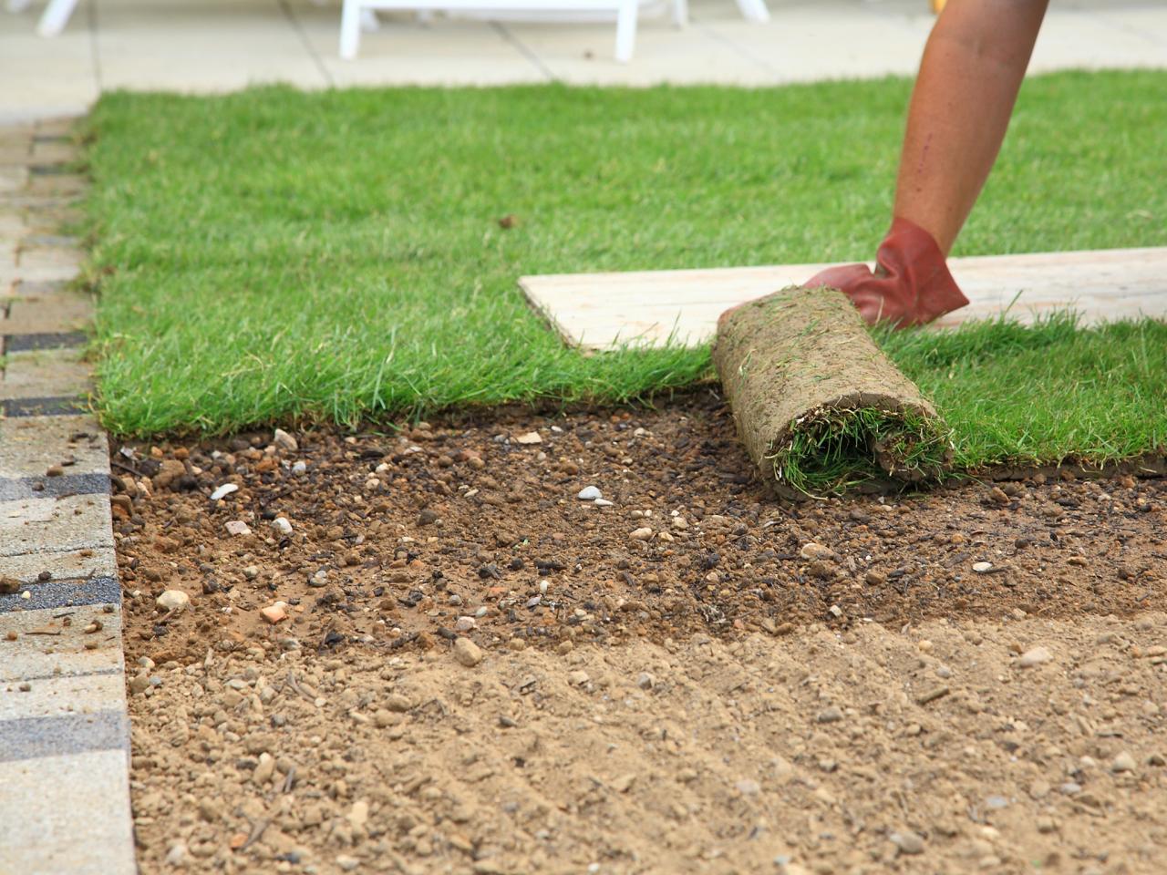 How To Take Care Of Lawn Grass