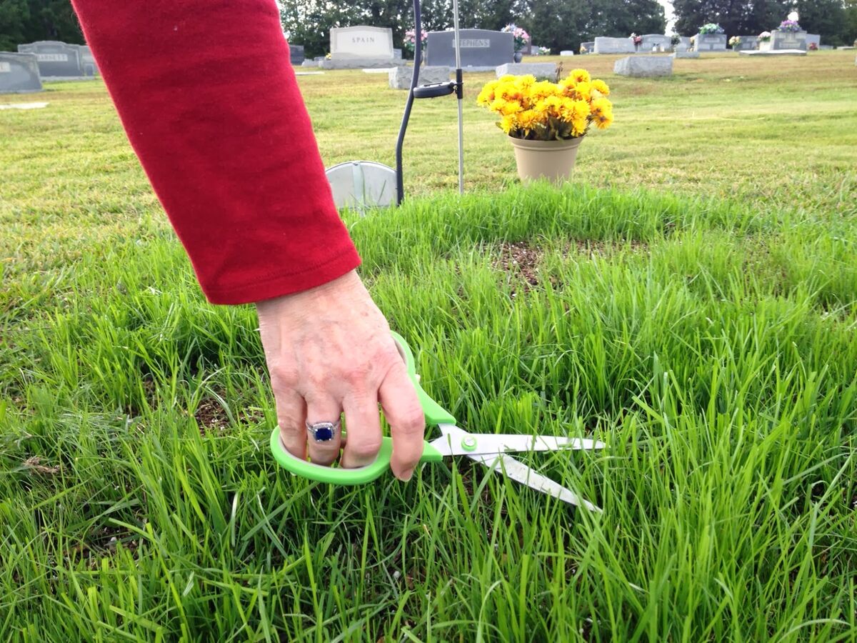 How To Thin Out Grass