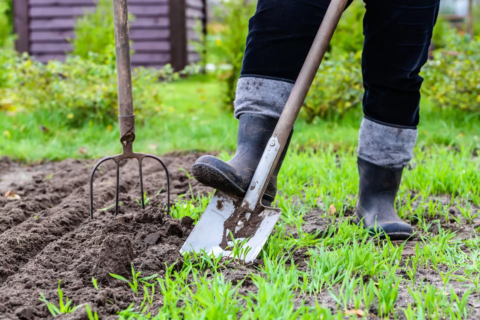 How To Till The Soil For Grass