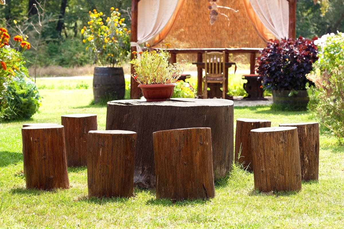 How To Treat Tree Stumps For Outdoor Use
