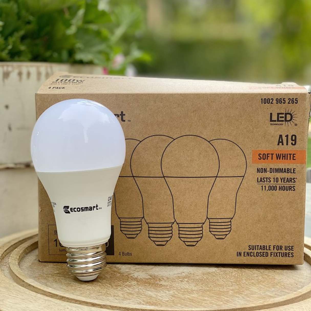 How To Use EcoSmart Light Bulbs With Alexa