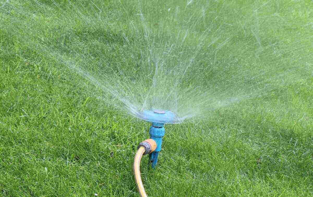 How To Water Grass In Summer