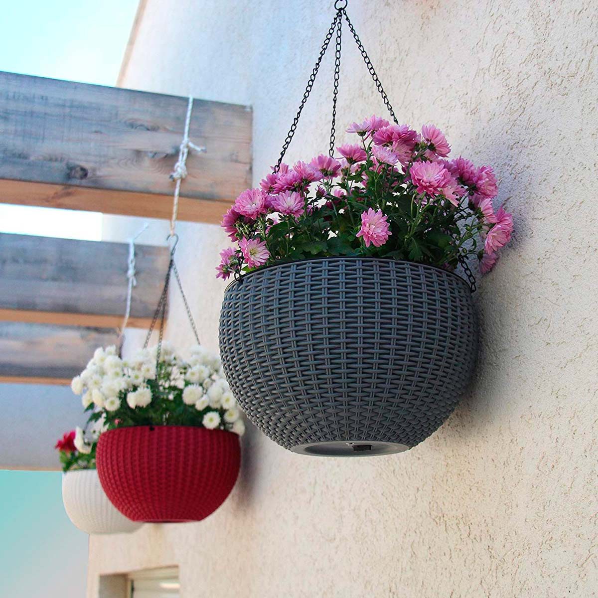 How To Water Outdoor Hanging Plants