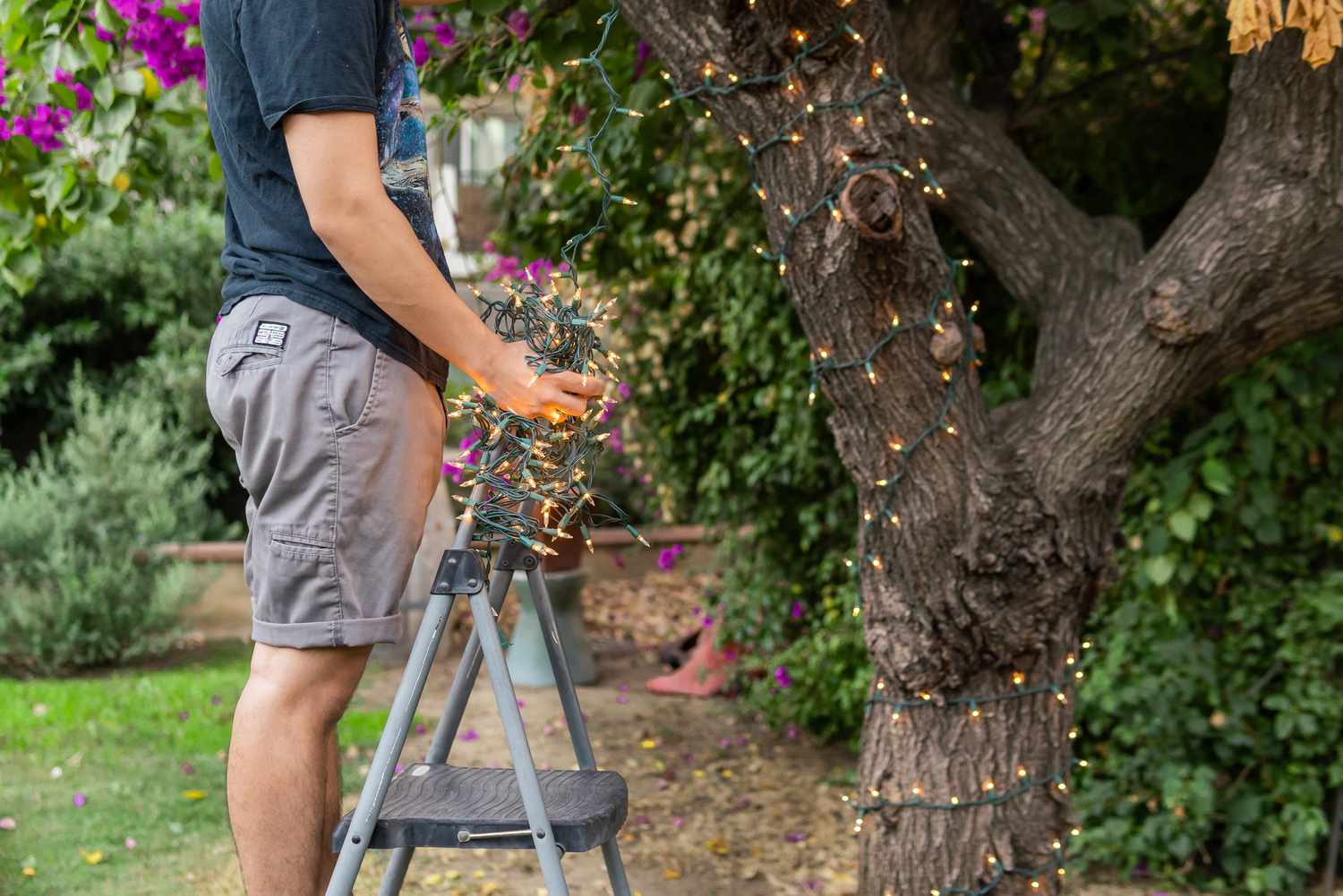 How To Wrap Outdoor Trees With Lights