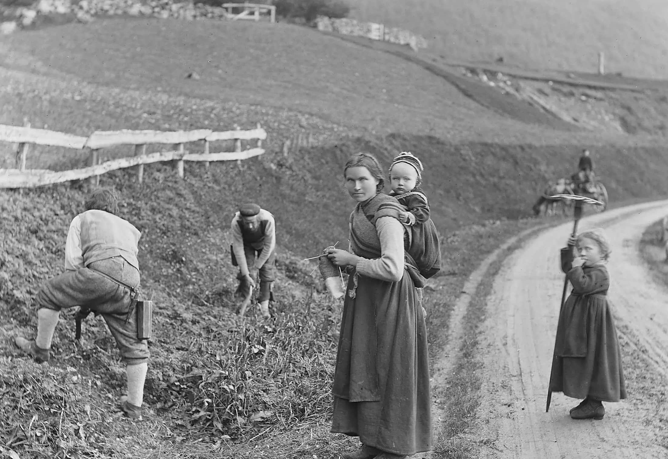 How Was Grass Cut In The 1800s