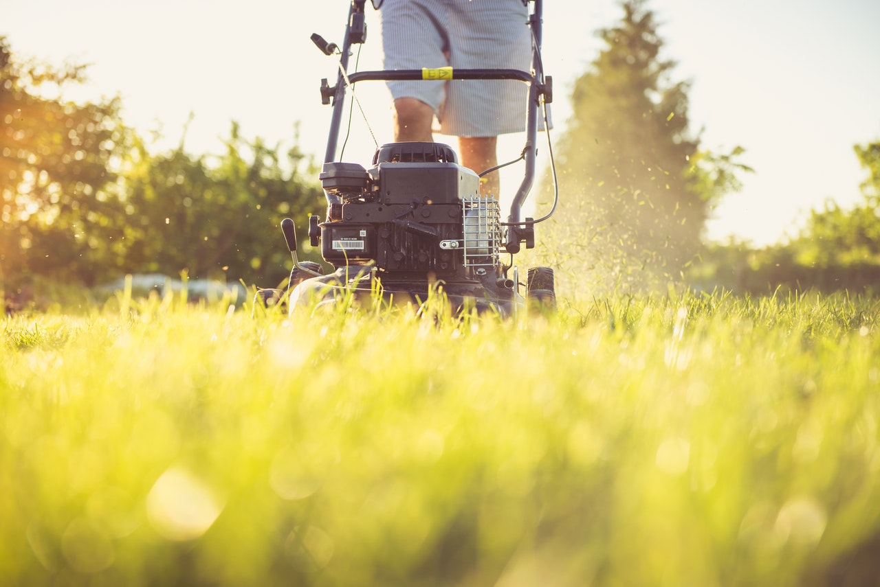 Should You Cut Your Grass When It’s Hot